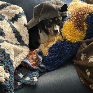 Fundraising Page: Vika Falcon